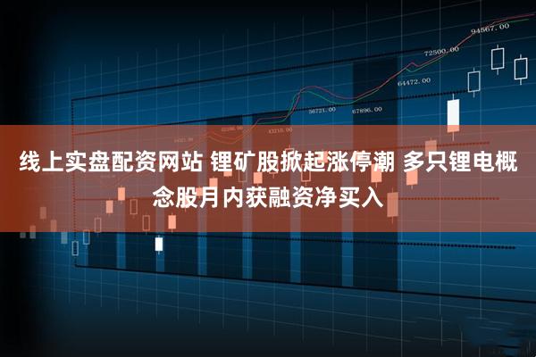 线上实盘配资网站 锂矿股掀起涨停潮 多只锂电概念股月内获融资净买入