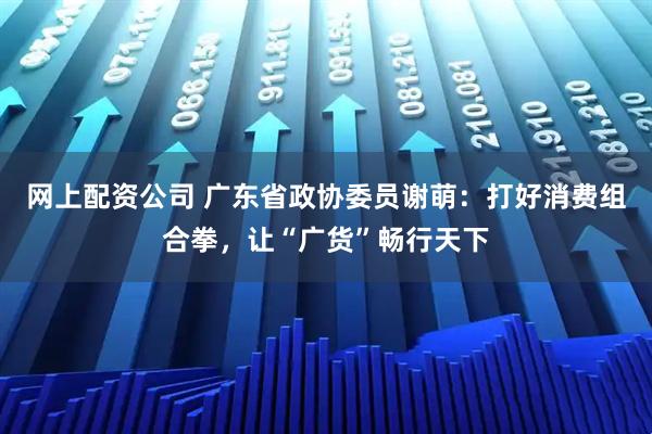 网上配资公司 广东省政协委员谢萌：打好消费组合拳，让“广货”畅行天下
